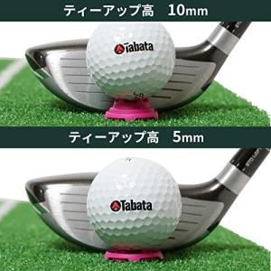 Tabata(タバタ) ゴルフ ティー 置くテ...の詳細画像2