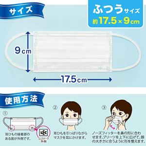 レック 日本製 不織布 マスク 白 さわやかフ...の詳細画像5