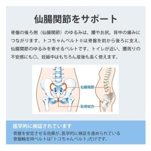 青葉 トコちゃんベルト2 LL 直後ケアベルト...の詳細画像2