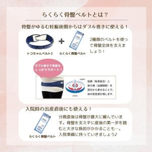 青葉 トコちゃんベルト2 L らくらく骨盤ベル...の詳細画像4