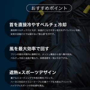 すぐ発送! アイズフロンティア 新作 2026...の詳細画像3