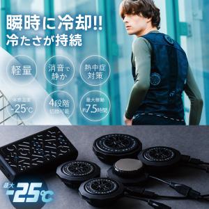 アイズフロンティア ペルチェベスト ビッグ 3...の詳細画像2