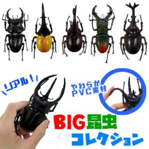 超リアル 立体 昆虫 BIG フィギュア 全6種セット ミヤマクワガタ オオクワガタ コーカサスオオカブト ヘラクレスオオカブト ネプチューン