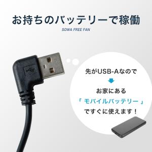 桑和 SOWA 2026 新作 フリーファン ...の詳細画像3
