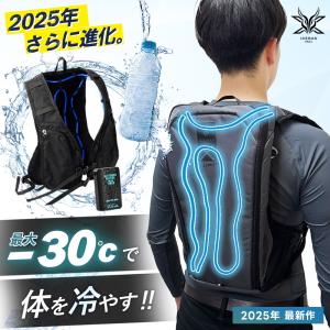 YAMASHIN（ヤマシン） アイスマンベスト プロ X II 水冷服 ICMPX2-BLV