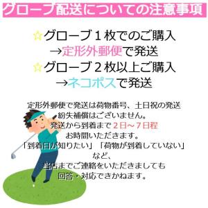 【送料無料】 FIT39 フィットサンキューグ...の詳細画像4