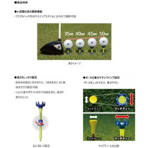【ネコポス送料無料】ブリヂストンゴルフ マッチ...の詳細画像2
