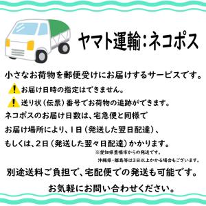 ツアーティー プロ ブラック Tour Tee...の詳細画像3