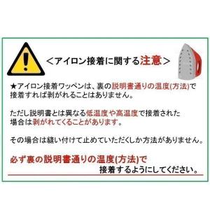 ◇ キャラクター 刺しゅう ワッペン ドラゴン...の詳細画像1