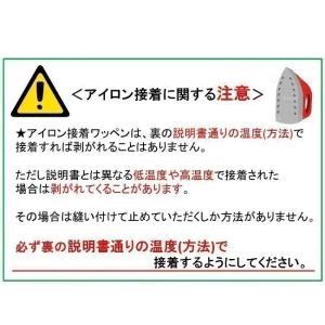 ◇ キャラクター 刺しゅう ワッペン ピクミン...の詳細画像1