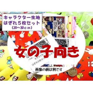 キャラクター 生地  詰め合わせ はぎれ ハギレ 20センチ~30センチの5枚セット 女の子向き（ ...