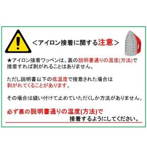 キャラクター ネームテープ 石ノ森D.W.C ...の詳細画像2