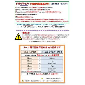 キャラクター 生地 布 スイマー ( SWIM...の詳細画像5