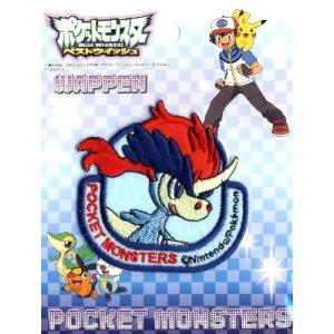 ポケモン アップリケ 手芸 ハンドクラフト の商品一覧 楽器 手芸 コレクション 通販 Yahoo ショッピング