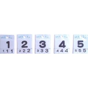 フロッキーネーム ( 紺 ) 数字 12345 ...の商品画像