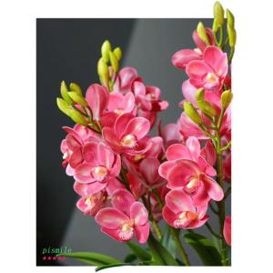 造花と花瓶 フェイク胡蝶蘭 人工鉢植え フェイ...の詳細画像3