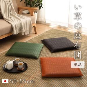座布団 55×55cm  い草 ござ 国産 日本製 イケヒコ ザブトン 蒸れない 通気性 和室 畳 おしゃれ ギフト プレゼント 法事 来客用 大紬 千鳥