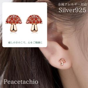 ピアス スターリングシルバー シルバー 金属アレルギー対応 Silver925 