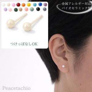 バイオセラミック ピアス 極小 2.5mm 3m...の商品画像