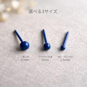バイオセラミック ピアス 極小 2.5mm 3...の詳細画像3