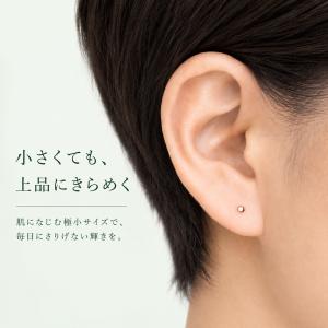 チタン 医療用G23 厳選素材 超極小1mm ...の詳細画像1