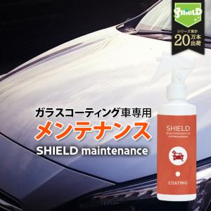 洗車 車用 濡れたまま スプレー ガラス系コーティング 超撥水 200ml | 日本製 撥水 コーティング剤 メンテナンス 極艶 ガラス撥水 撥水スプレー 洗車用品 車