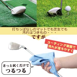 ゴルフクラブ コーティング剤 シリコン系 クリ...の詳細画像5