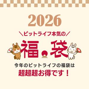 福袋 2026 選べる雑貨 アウトドア 車 掃...の詳細画像2