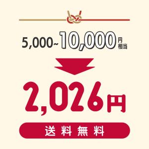 福袋 2026 選べる雑貨 アウトドア 車 掃...の詳細画像3