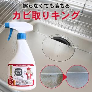 モルクリアプロ Mol clear Pro 超強力業務用カビ取りスプレー 480ml