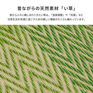 堀り こたつ用 カーペット 掘りごたつ 堀こた...の詳細画像5