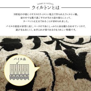 玄関マット おしゃれ 屋内 50×80 玄関 ...の詳細画像1