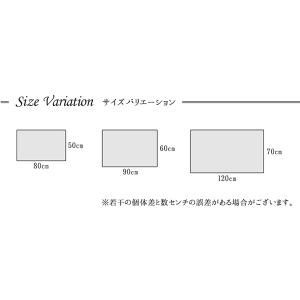 玄関マット おしゃれ 屋内 50×80 玄関 ...の詳細画像5