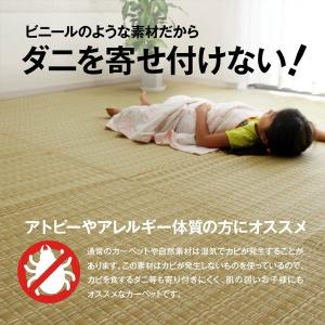 ラグ い草風 洗える 夏ラグ カーペット 2畳...の詳細画像5