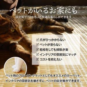 ラグ い草風 洗える 夏ラグ カーペット 6畳...の詳細画像2