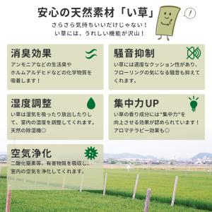 い草ラグ ラグ カーペット 2畳 正方形 17...の詳細画像4