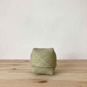 収納 かご ボックス バスケット 小物入 水草フルナ 正方形 中サイズ W9