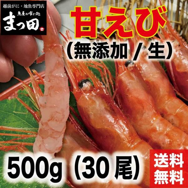 甘えび 甘エビ 甘海老 刺身 特大 お取り寄せ お刺身  直送 越前産 冷凍 甘エビ 500g 約3...