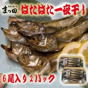 ハタハタ ひもの はたはた 一夜干し 6尾入り 2パック