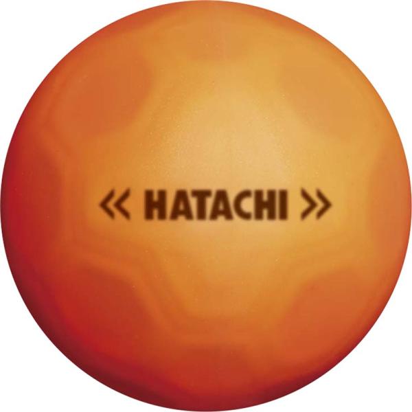 hatachi(ハタチ) SHOOTボール Gゴルフ競技ボール (bh3460-54）