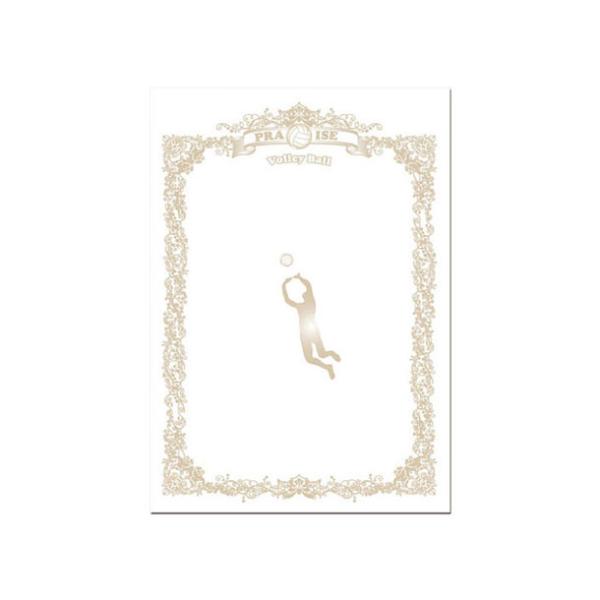 ユニックス Unix スポーツ種目別賞状用紙 バレーボール リクレーショングッズ (FD1385)