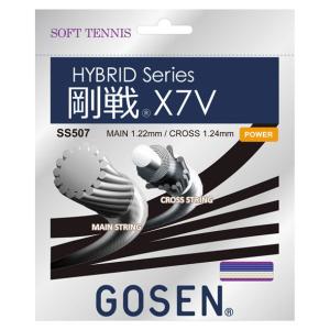ゴーセン GOSEN 剛戦 X7V ロイヤルブルー テニスソフト ガット (SS507RB)