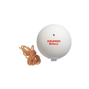 BRIDGESTONE NP ブリヂストン テニスボール 113個セット Amazon | BRIDGESTONE(ブリヂストン) テニス ボール NX1(4個入り