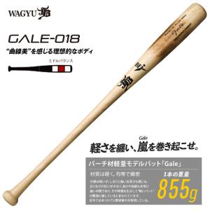 和牛JB バーチ材硬式木製バット (Gale) 野球 硬式木製バット (中学硬式 高校 大学社会人) 22FW (GALE018)の商品画像