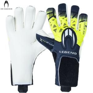 HO SOCCER サッカー プロメガ アリーナ ネガティブ ブルーシャドー