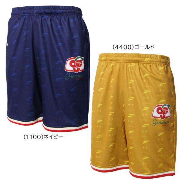 フィンタ FINTA  GDZモノグラムショーツ  フットサル サッカーウェア プラクティスパンツ ...