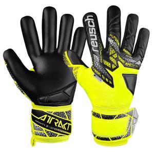 PUMA（プーマ） パワーキャット 4.10 グリップ GKグローブ 【PUMA