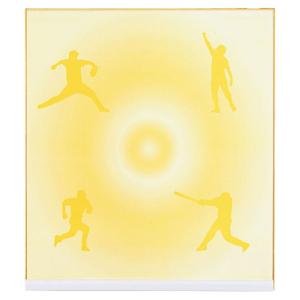 ゼット ZETT 記念色紙 野球 ソフトキネンヒン