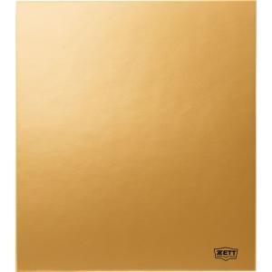 ゼット ZETT ソフトテニスネット PE45 テニスネット (k1192) : ピット