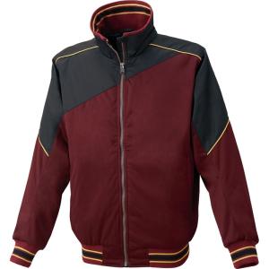 ゼット（ZETT） グラウンドコート 野球 ソフトグランドコート (bog480a